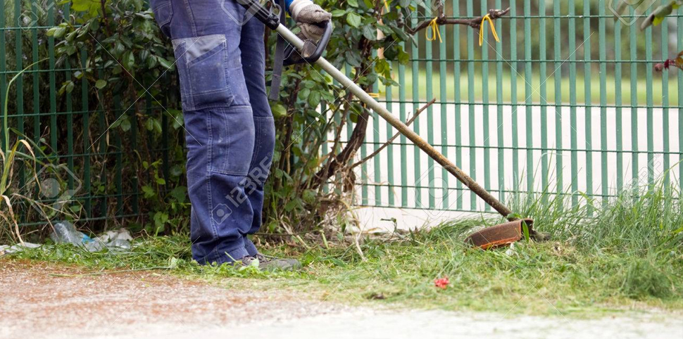 FAIRE UN DÉBROUSSAILLAGE